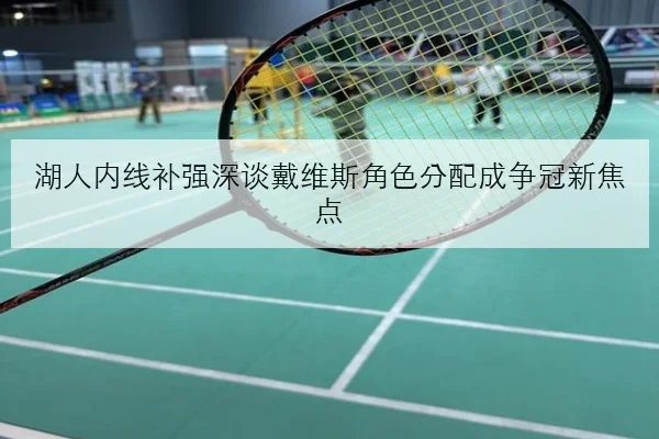湖人内线补强深谈戴维斯角色分配成争冠新焦点