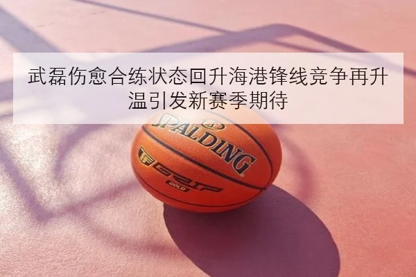 武磊伤愈合练状态回升海港锋线竞争再升温引发新赛季期待